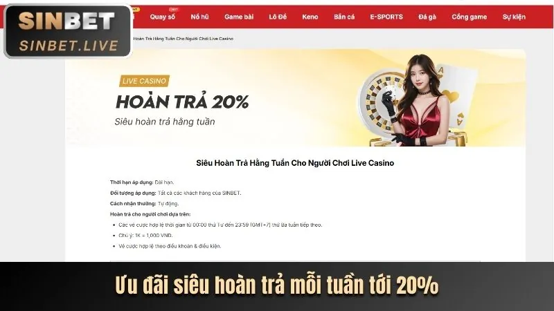 Tính năng ứng dụng Thabet Casino